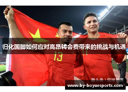 归化国脚如何应对高昂转会费带来的挑战与机遇