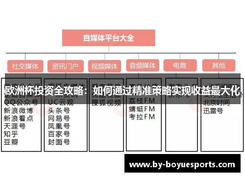 欧洲杯投资全攻略:如何通过精准策略实现收益最大化 欧洲杯投资全攻略:如何通过精准策略实现收益最大化
