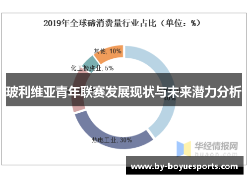 玻利维亚青年联赛发展现状与未来潜力分析 玻利维亚青年联赛发展现状与未来潜力分析
