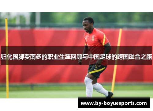 归化国脚费南多的职业生涯回顾与中国足球的跨国融合之路 归化国脚费南多的职业生涯回顾与中国足球的跨国融合之路