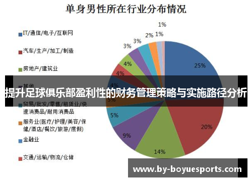 提升足球俱乐部盈利性的财务管理策略与实施路径分析 提升足球俱乐部盈利性的财务管理策略与实施路径分析